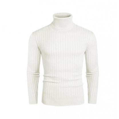 Herren Rollkragenpullover Elastisch Rippendesign Modern