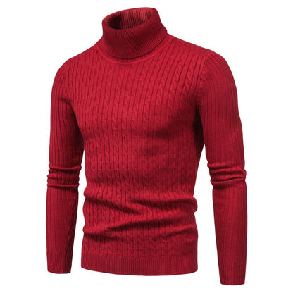 Herren Rollkragenpullover Komfortabel Warm Modern