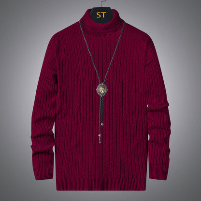 Herren Pullover Rollkragen Strick Zopfmuster Modern