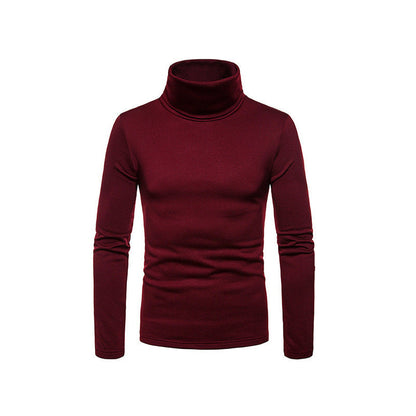 Herren Rollkragenpullover Weich Stretch Modern