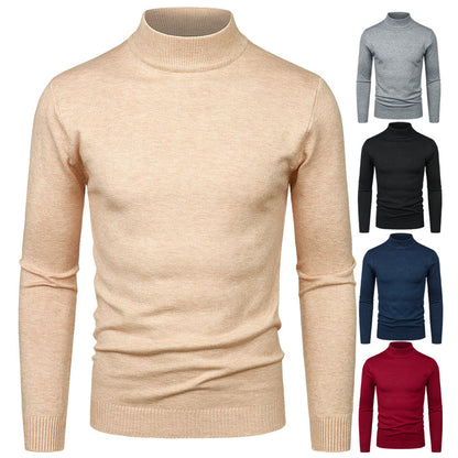 Herren Rollkragenpullover Feine Baumwolle Hochwertig