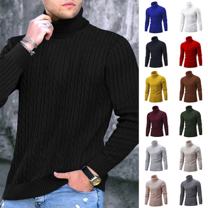 Herren Rollkragenpullover Eleganter Zopfmuster Schwarz Modern