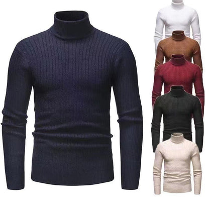 Herren Rollkragenpulli Strukturiert Zopfmuster Modern