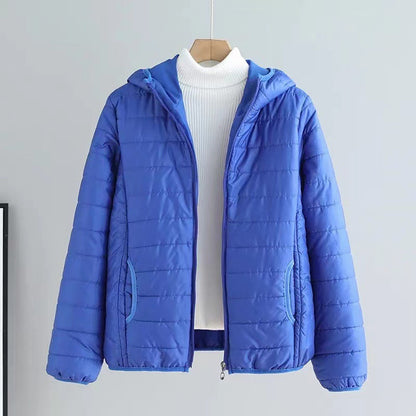 Damen Übergangsjacke Steppjacke Mit Kapuze Modern