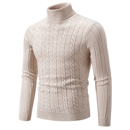 Herren Rollkragenpullover Strickt Zopfmuster Modern