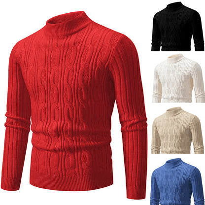 Herren Pullover Rollkragen Baumwolle Zopf Muster - BerlinGlamour