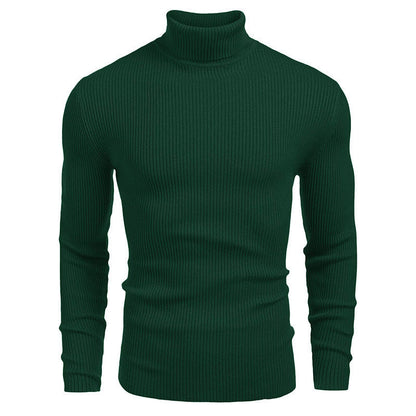 Herren Rollkragenpullover Strukturiert Modern Stadtstyle