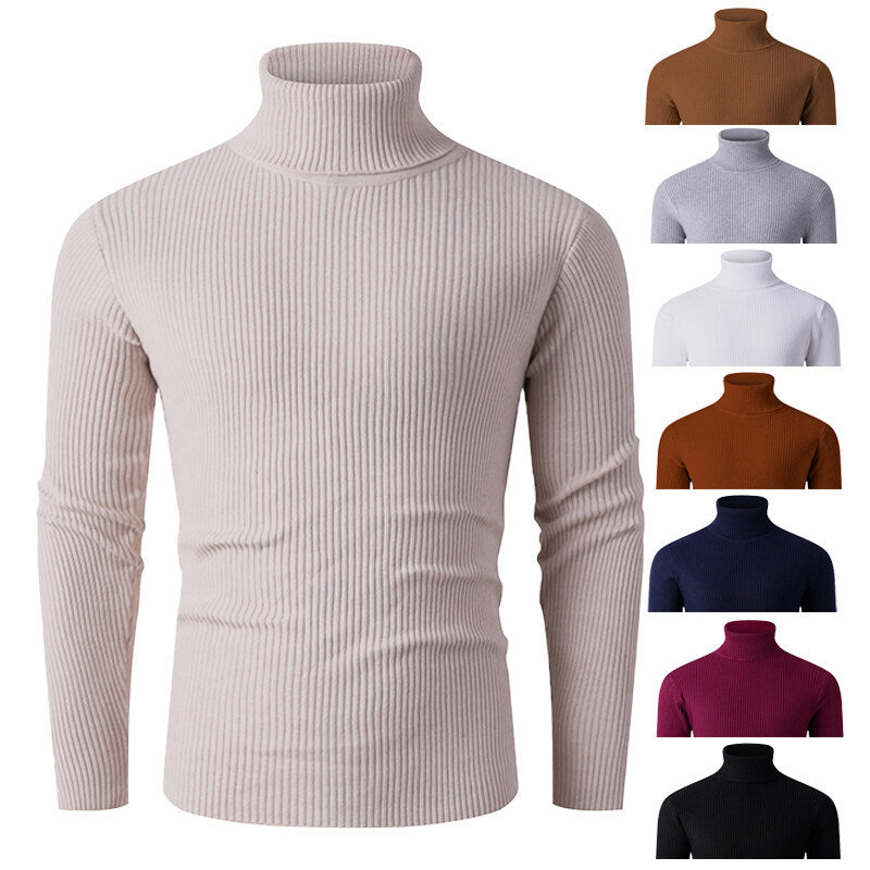 Herren Rollkragenpullover Gerippt Strick Modern Schwarz - BerlinGlamour