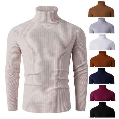 Herren Rollkragenpullover Gerippt Strick Modern Schwarz - BerlinGlamour
