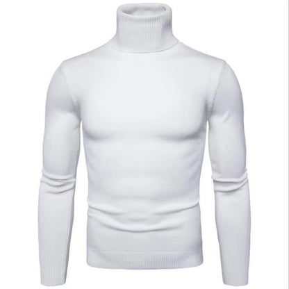 Herren Rollkragenpullover Baumwolle Hochwertig Elegannt