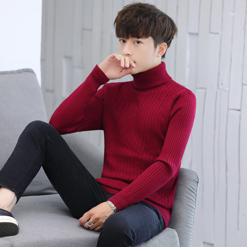Herren Rollkragenpullover Elegantes Rippmuster Qualität