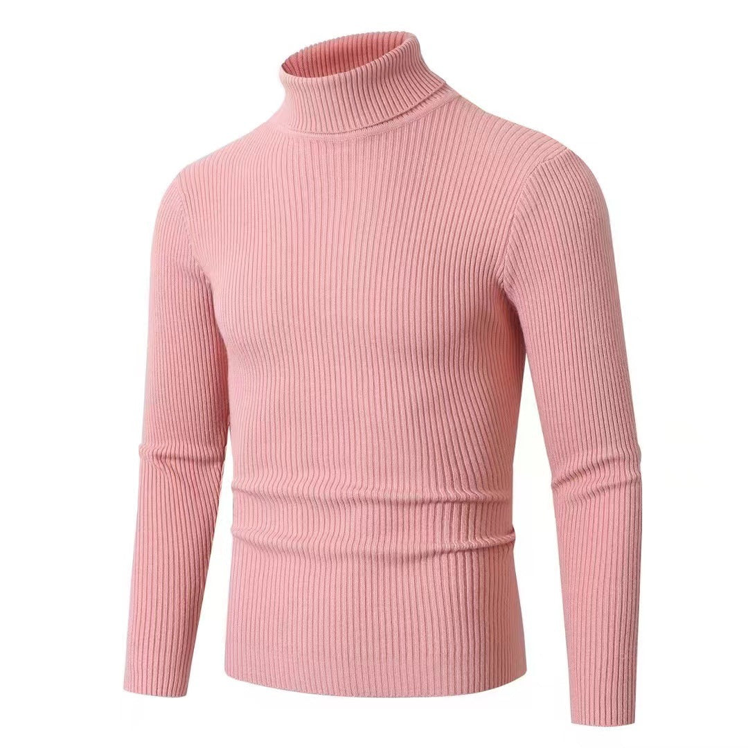 Herren Pullover Stehkragen Ribbelstrick Modern
