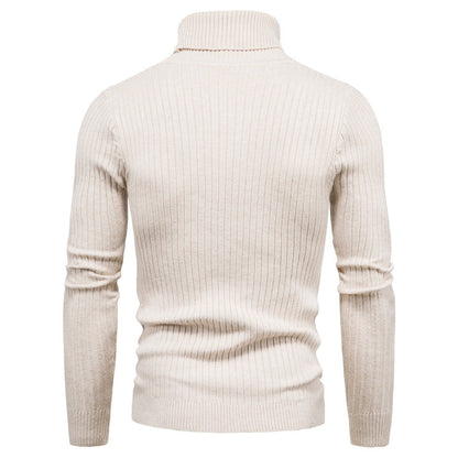 Herren Rollkragenpullover Komfortabel Warm Modern