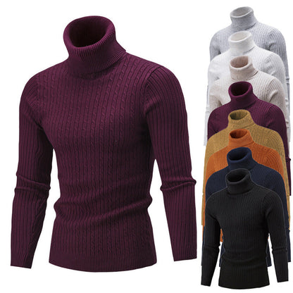 Herren Pullover Rollkragen Klassisch Rippmuster Elegent