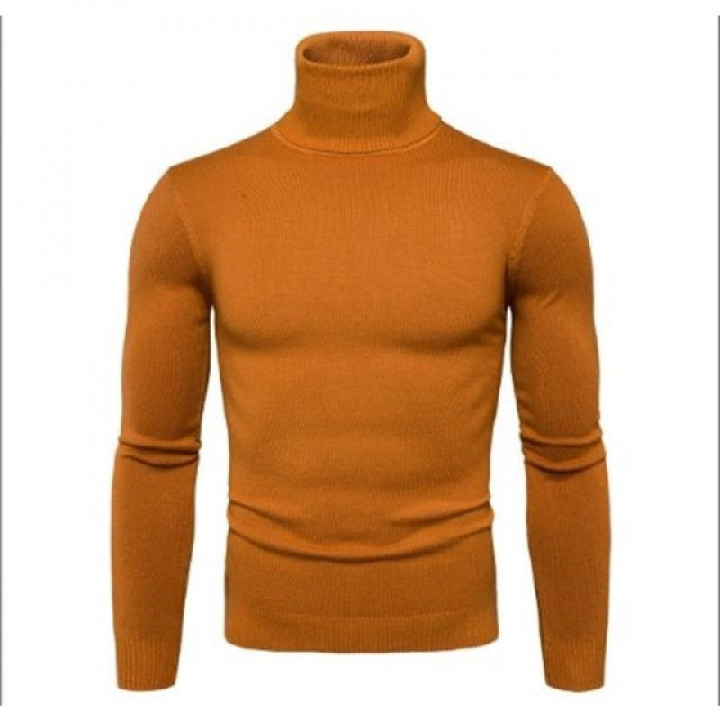 Herren Rollkragenpullover Fein Strick Hochwertig Elegант