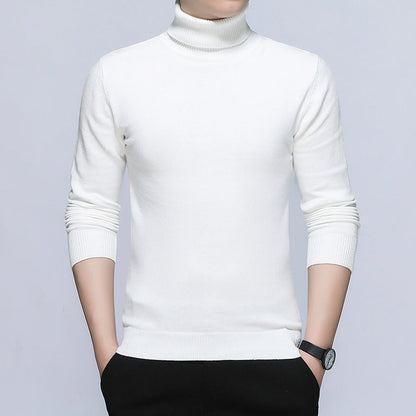 Herren Rollkragenpullover Baumwolle Atmungsaktiv Eleganz