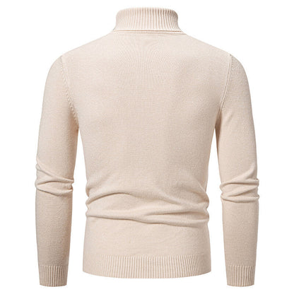 Herren Pullover Rollkragen Struktur Design Modern