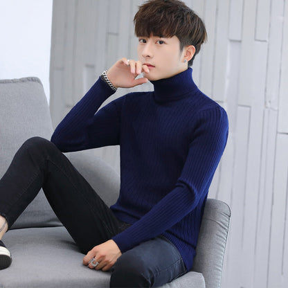 Herren Rollkragenpullover Elegantes Rippmuster Qualität