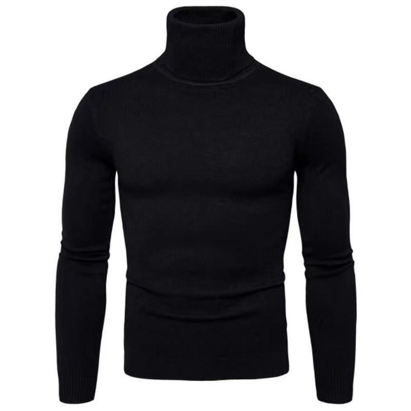 Herren Rollkragenpullover Baumwolle Hochwertig Elegannt