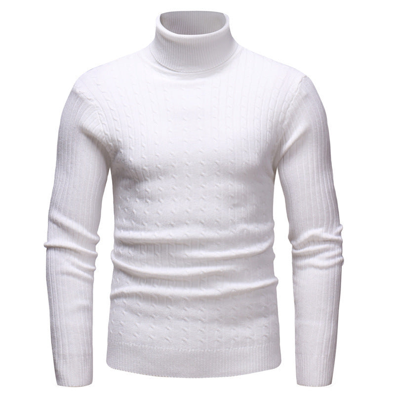 Herren Rollkragenpullover Fein Strick Modern Elegант
