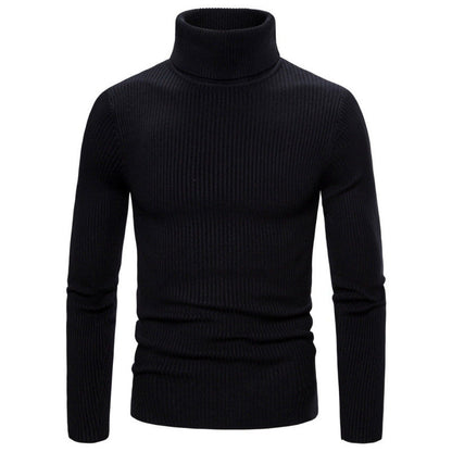 Herren Rollkragenpullover Struktur Optik Modern