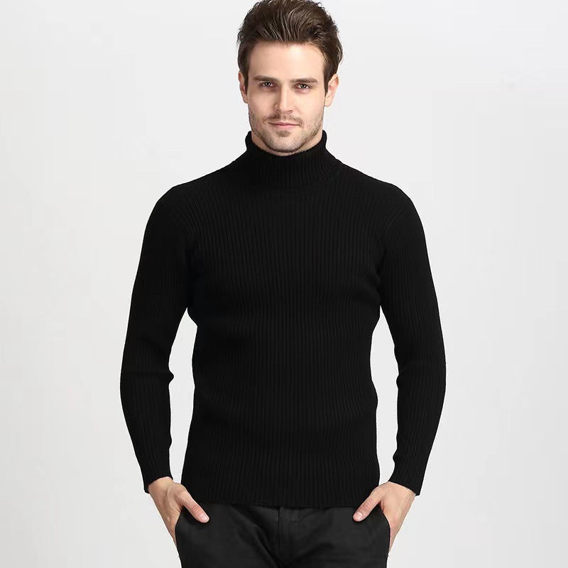 Herren Rollkragenpullover Rippstruktur Hochwertig Strick