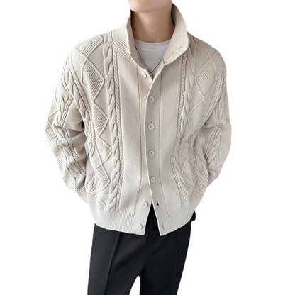 Herren Pullover Grobstrick Modern Stehkragen Knopfleiste