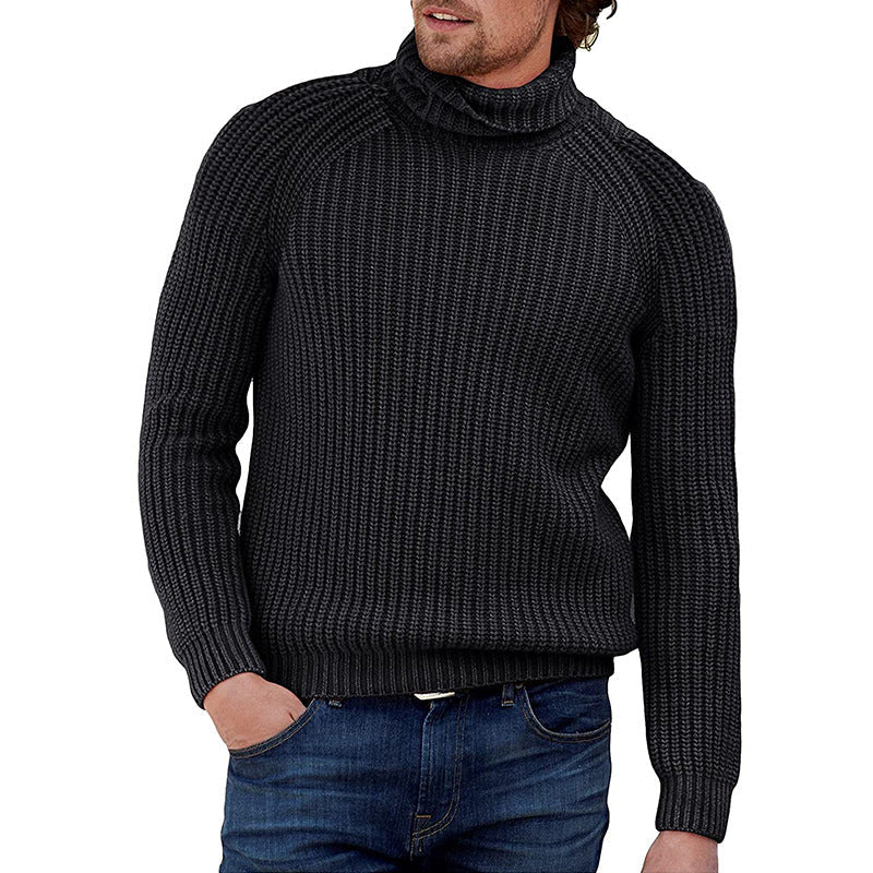 Herren Pullover Grobstrick Strukturiert Hochkragen Modern