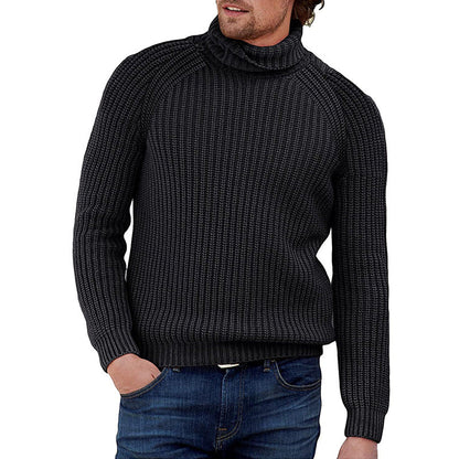 Herren Pullover Grobstrick Strukturiert Hochkragen Modern