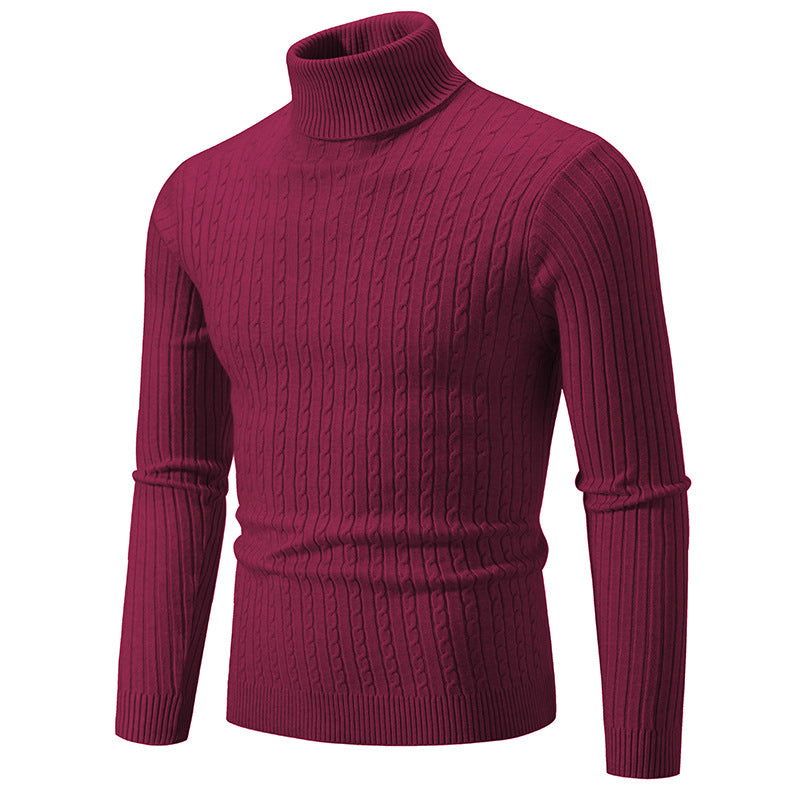 Herren Rollkragenpullover Strukturiert Zopfmuster Modisch