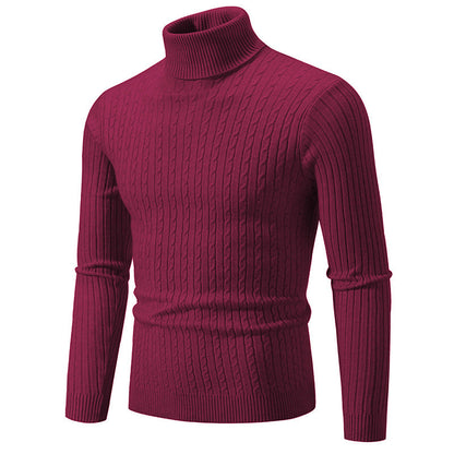 Herren Rollkragenpullover Strukturiert Zopfmuster Modisch