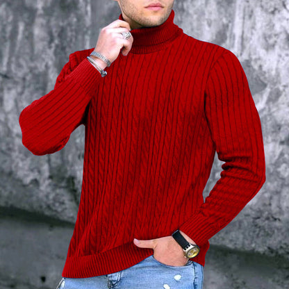 Herren Rollkragenpullover Zopfmuster Modern