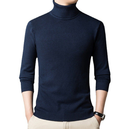 Herren Pullover Rollkragen Figurbetont Modern