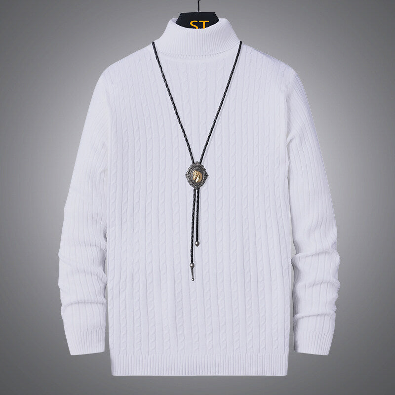 Herren Pullover Rollkragen Strick Zopfmuster Modern
