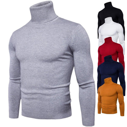 Herren Rollkragenpullover Merinowolle Weich Warm