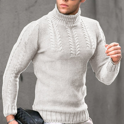 Herren Strickpullover Hochkragen Modisch Glatt