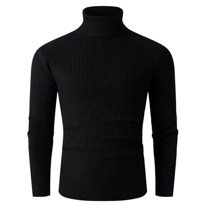 Herren Rollkragenpullover Gerippt Strick Modern Schwarz