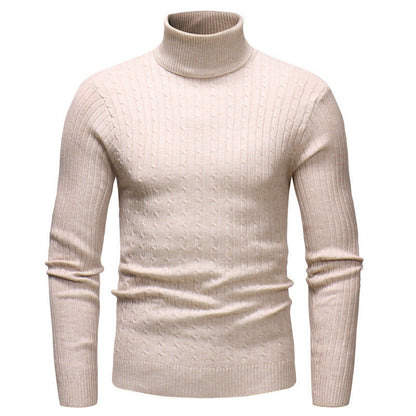 Herren Rollkragenpullover Fein Strick Modern Elegант