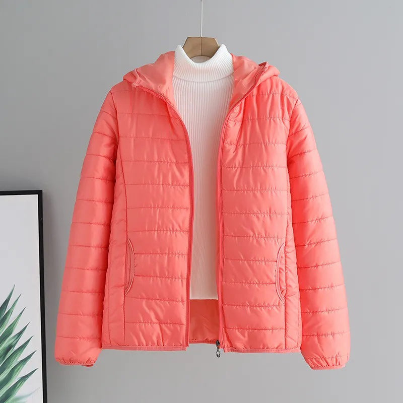 Damen Übergangsjacke Steppjacke Mit Kapuze Modern
