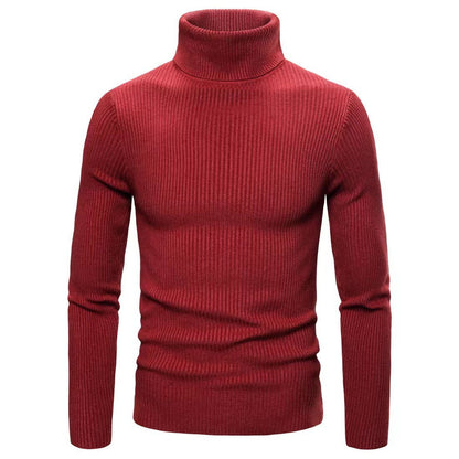 Herren Rollkragenpullover Feinrippstruktur Modern