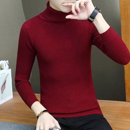 Herren Rollkragenpullover Hochwertig Strick Warm