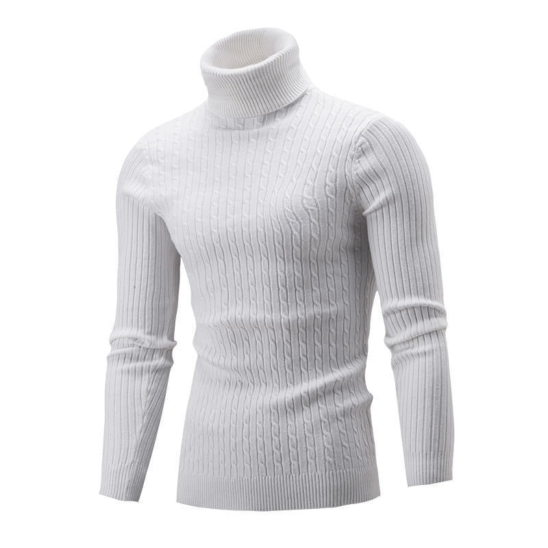 Herren Rollkragenpullover Struktur Zopfmuster Modern