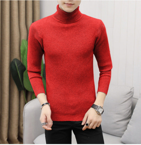 Herren Rollkragenpullover Feinrippstruktur Modern