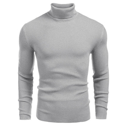 Herren Pullover Rollkragen Struktur Rippenmuster Modern