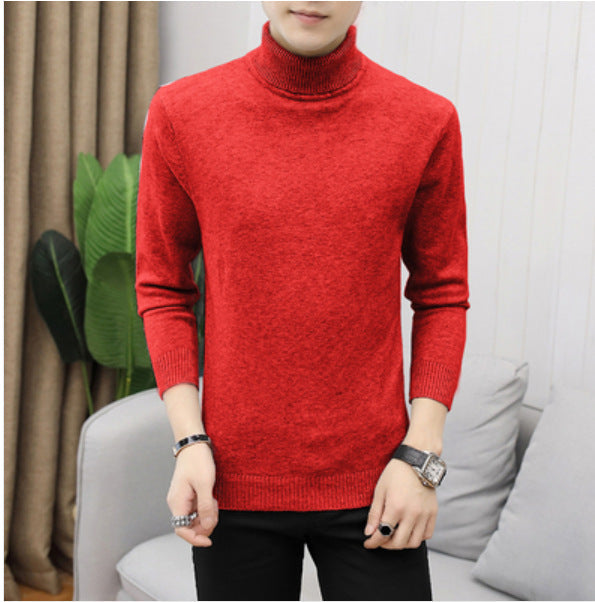 Herren Rollkragenpullover Baumwolle Hochwertig Elegannt