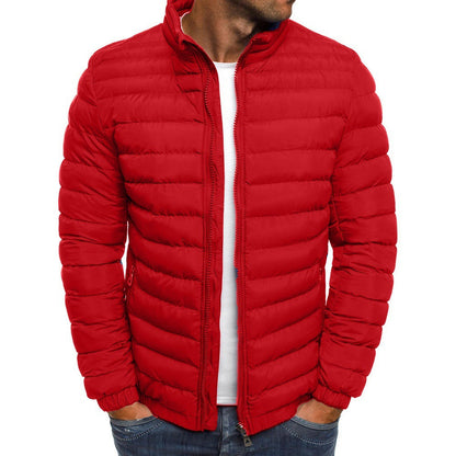 Herren Steppjacke Leicht Mit Hochem Kragen Elastisch