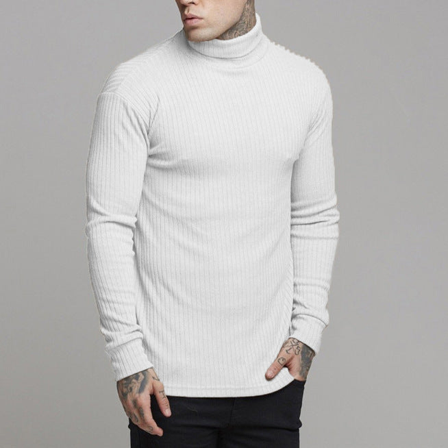 Herren Langarmshirt Rollkragen Modern Elegant