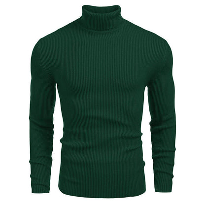 Herren Pullover Rollkragen Struktur Rippenmuster Modern