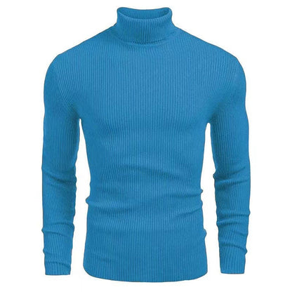 Herren Pullover Rollkragen Struktur Rippenmuster Modern