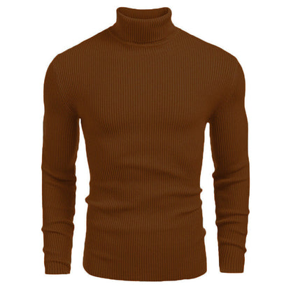 Herren Rollkragenpullover Strukturiert Modern Stadtstyle